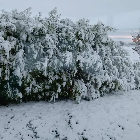 2 , Williamstown, Ireland *